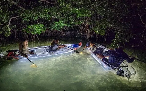 Clear Kayak LED Night tour